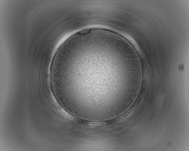 X0000090601199200707241036