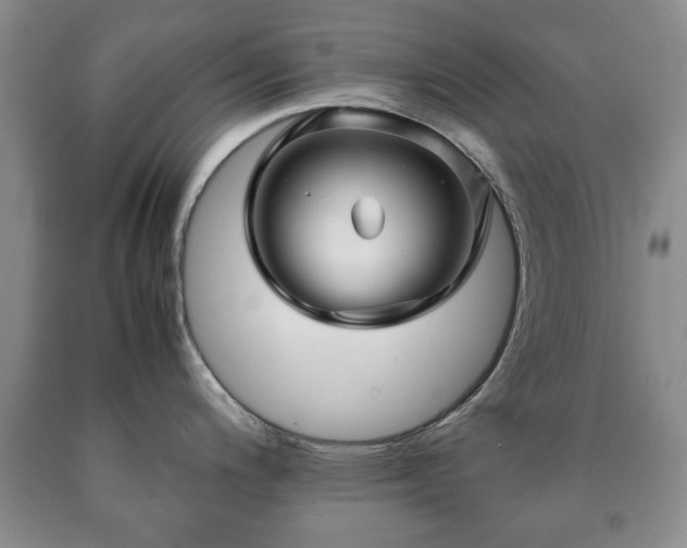 X0000090601200200707241036