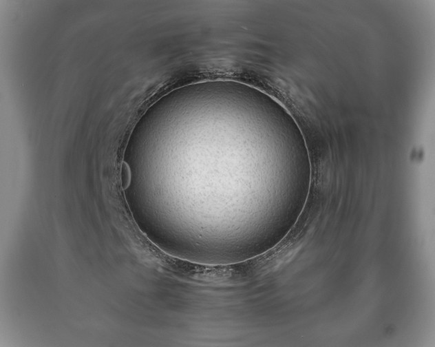 X0000090601201200707241035