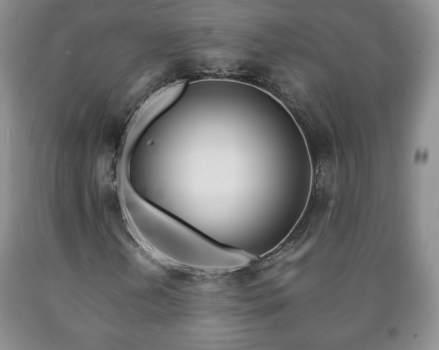X0000090601202200707241035