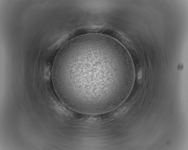 X0000090601204200707241035