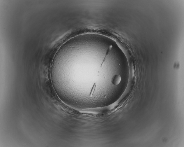 X0000090601205200707241035