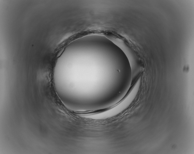 X0000090601206200707241035