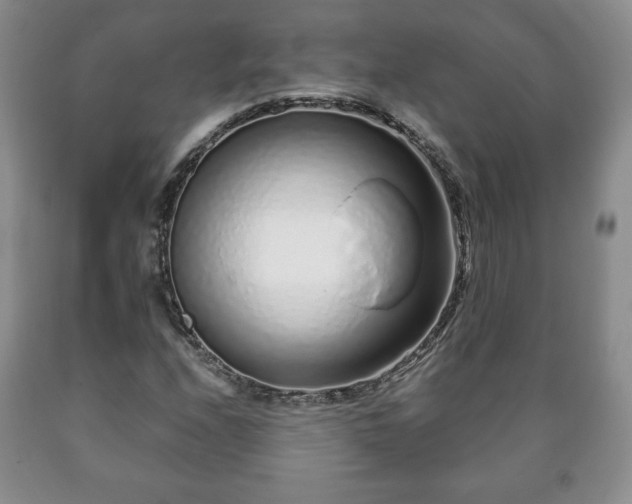 X0000090601208200707241035
