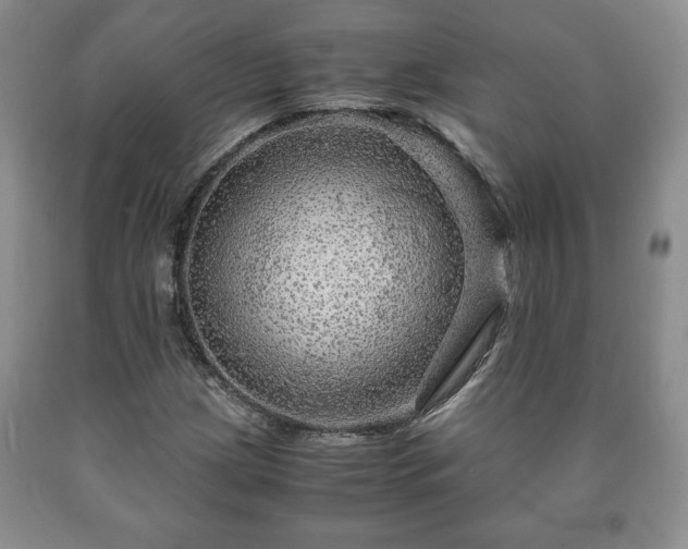 X0000090601209200707241035