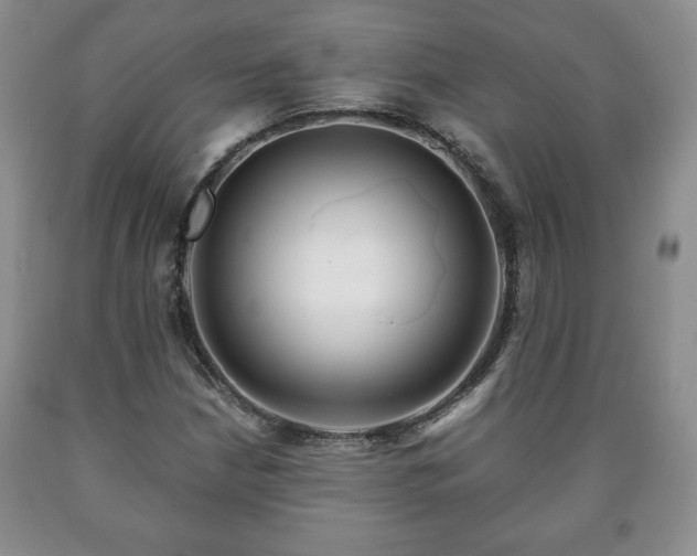 X0000090601210200707241035
