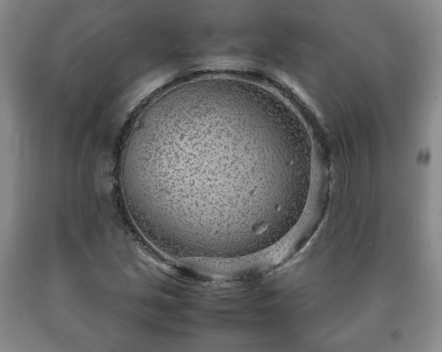 X0000090601213200707241036