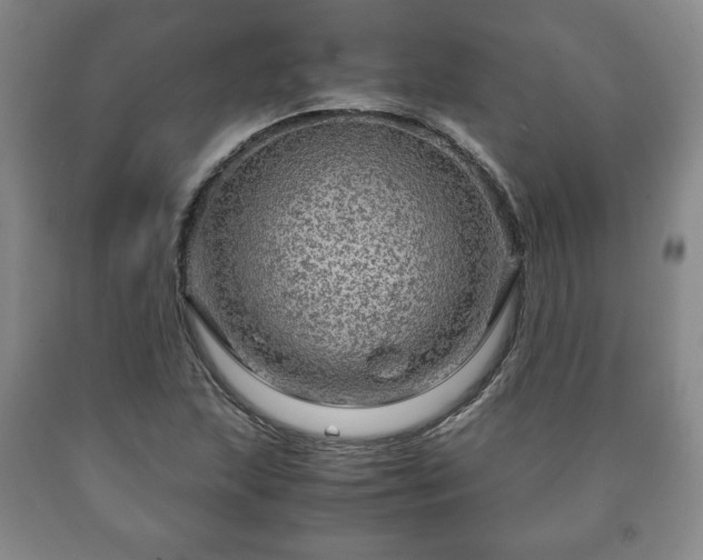 X0000090601215200707241036