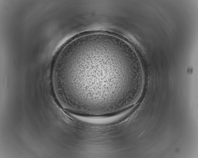 X0000090601216200707241036