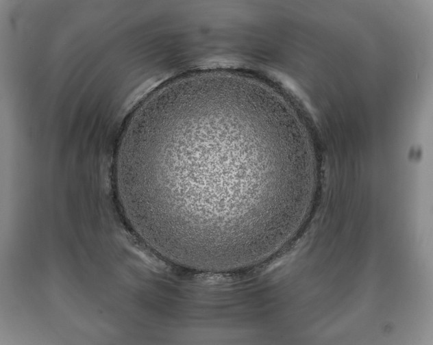 X0000090601217200707241036