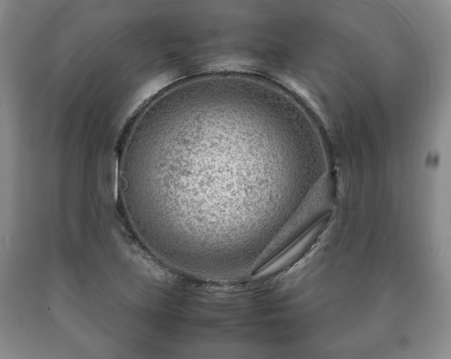 X0000090601219200707241036