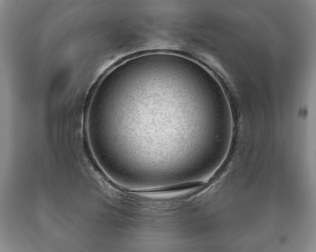 X0000090601220200707241036