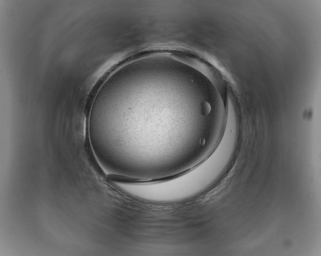 X0000090601221200707241036