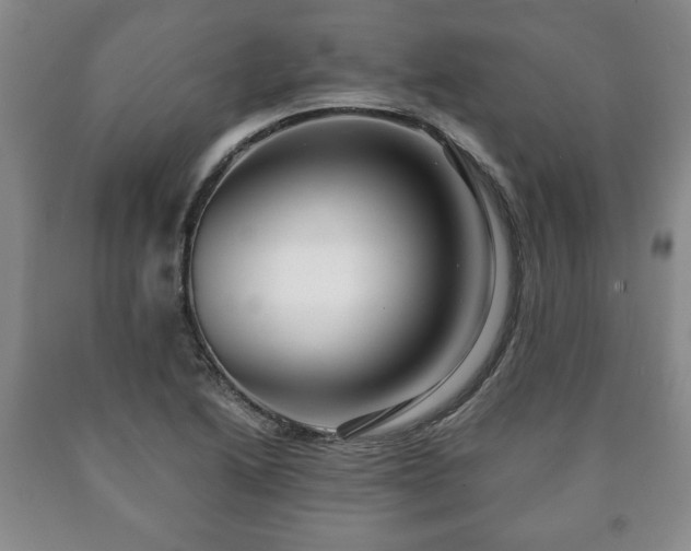 X0000090601222200707241036