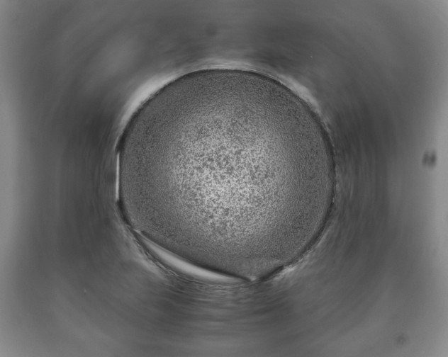 X0000090601223200707241036