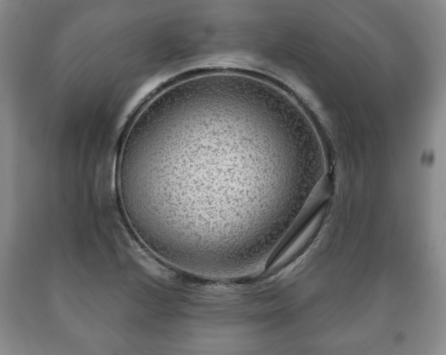 X0000090601224200707241036