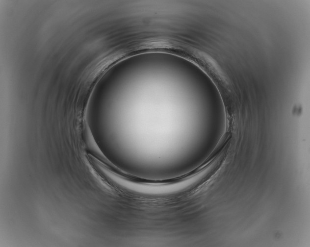 X0000090601225200707241036