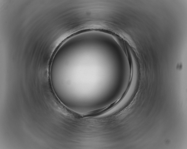 X0000090601226200707241036