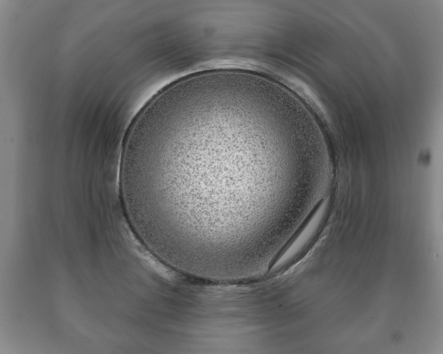 X0000090601228200707241036