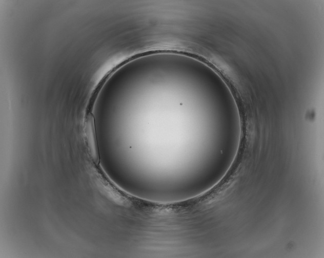 X0000090601230200707241036