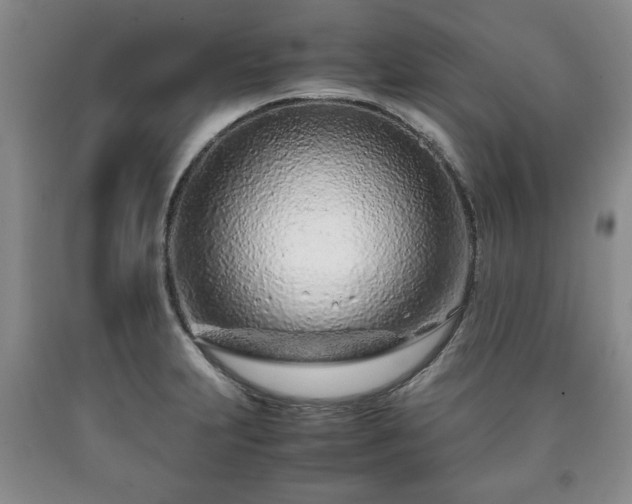 X0000090601231200707241036