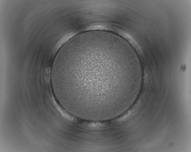 X0000090601233200707241036