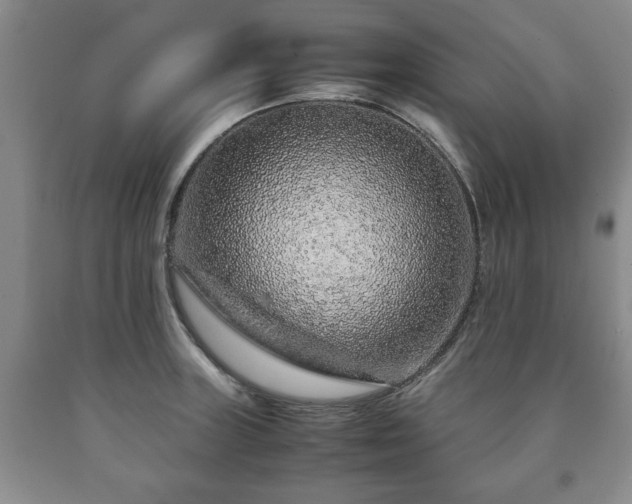 X0000090601235200707241036