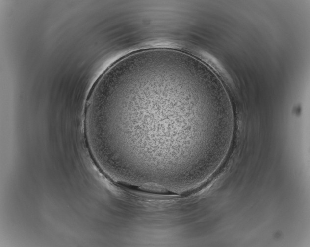 X0000090601236200707241036