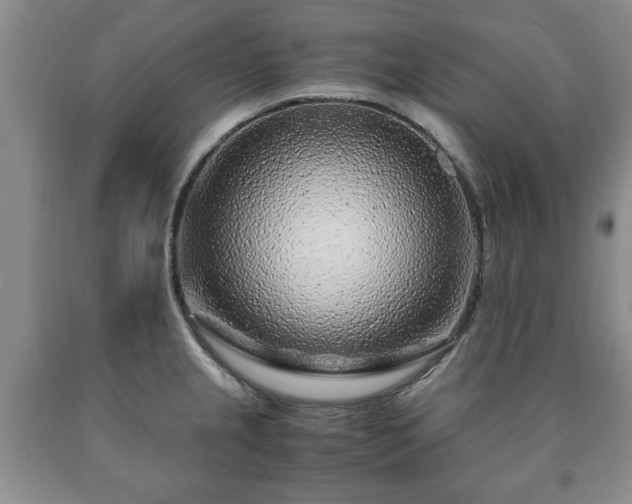 X0000090601237200707241036