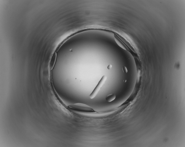 X0000090601238200707241036