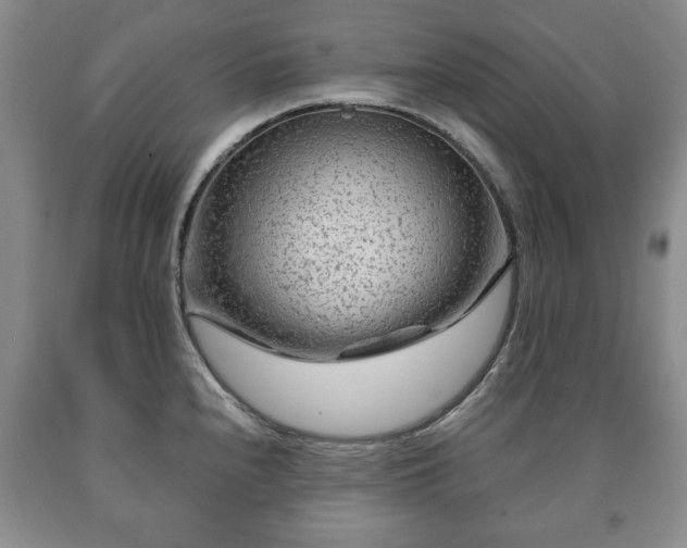 X0000090601240200707241036