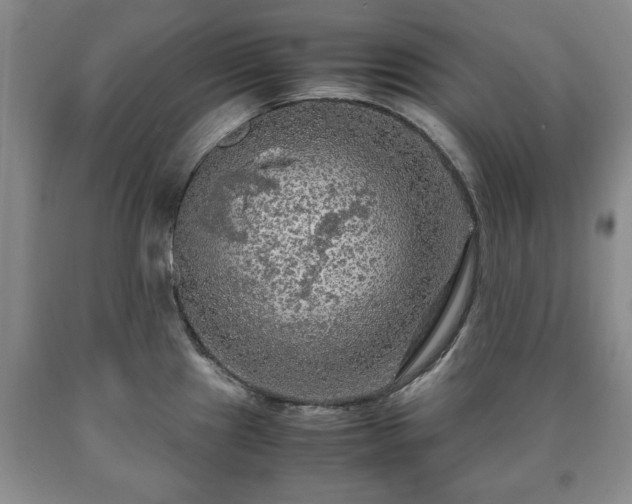 X0000090601241200707241036