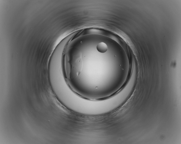 X0000090601242200707241036