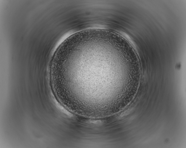 X0000090601243200707241036