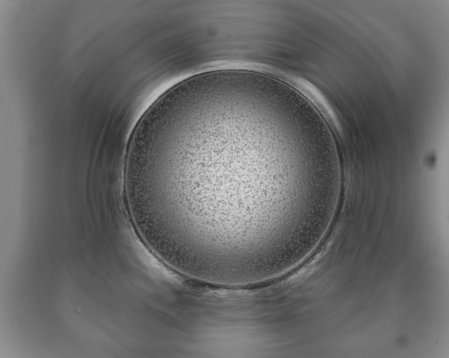 X0000090601244200707241036