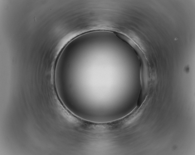 X0000090601246200707241036