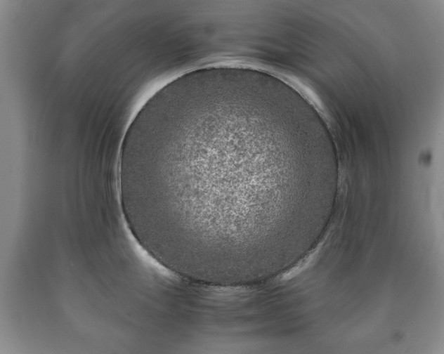 X0000090601247200707241036