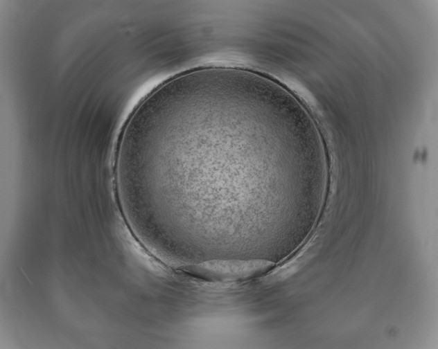X0000090601248200707241036
