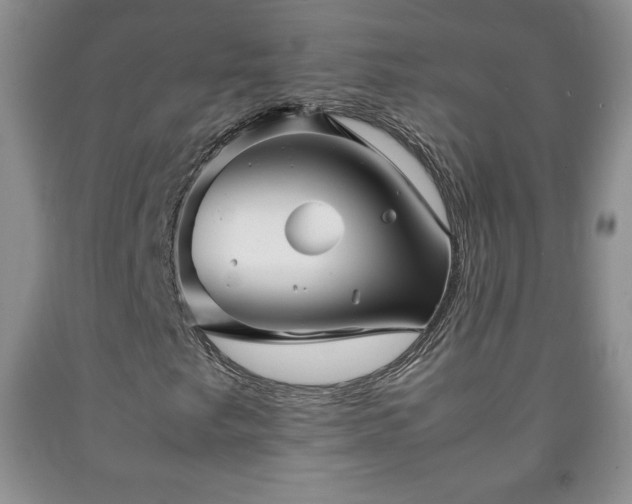X0000090601249200707241035