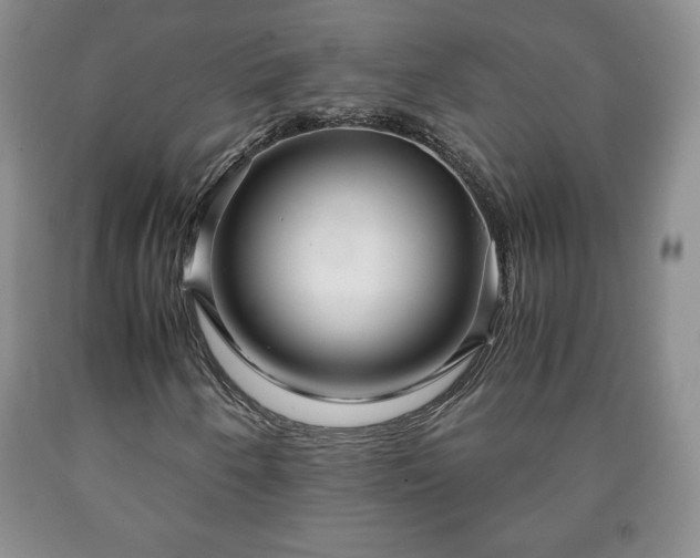 X0000090601250200707241035