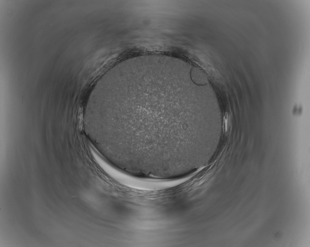 X0000090601251200707241035