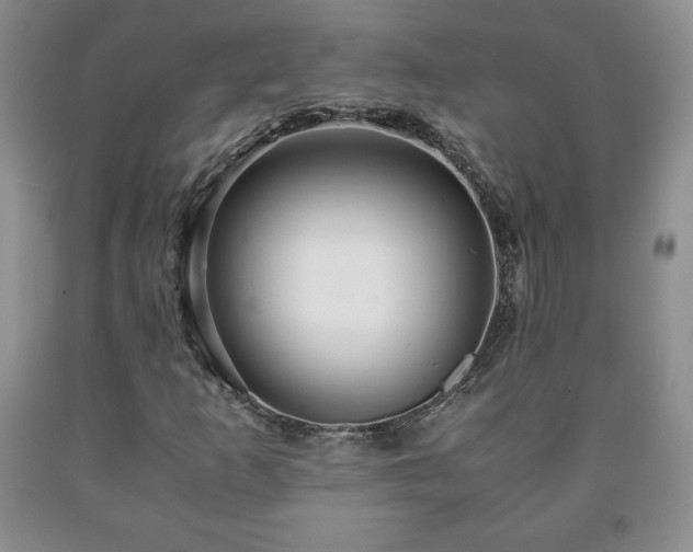 X0000090601253200707241035