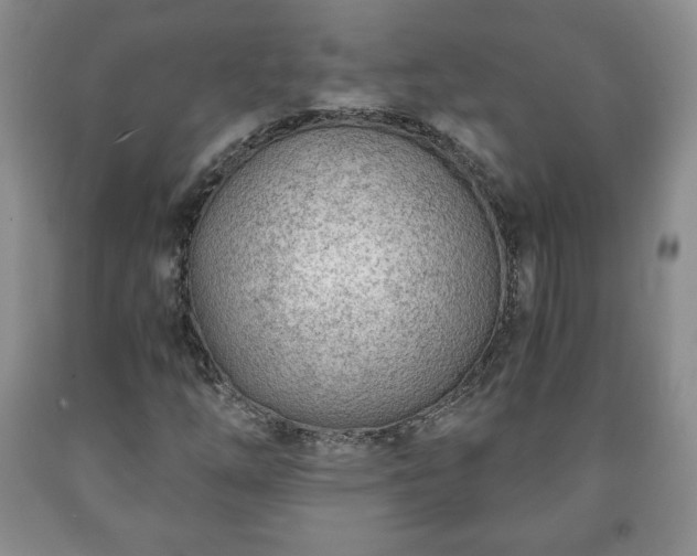 X0000090601254200707241035