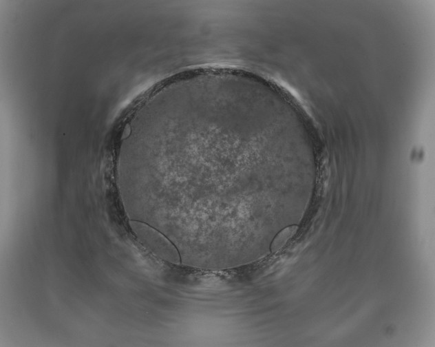 X0000090601255200707241035