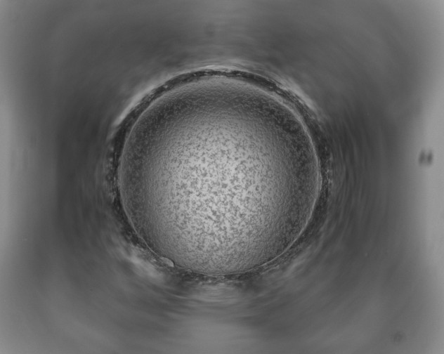 X0000090601256200707241035
