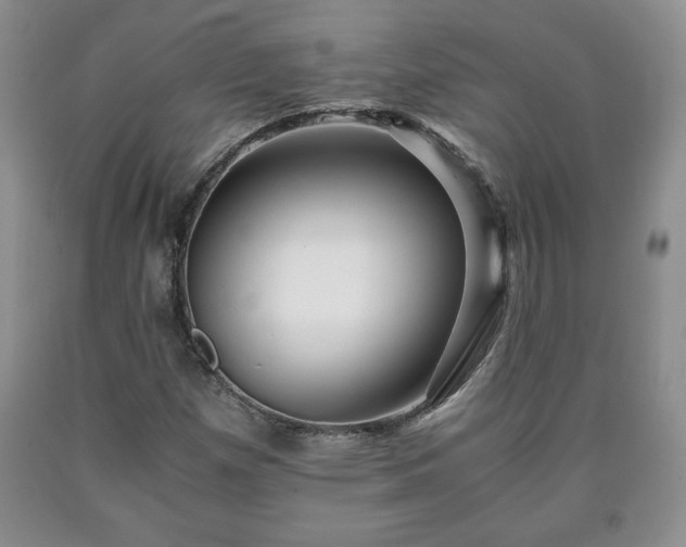 X0000090601257200707241035