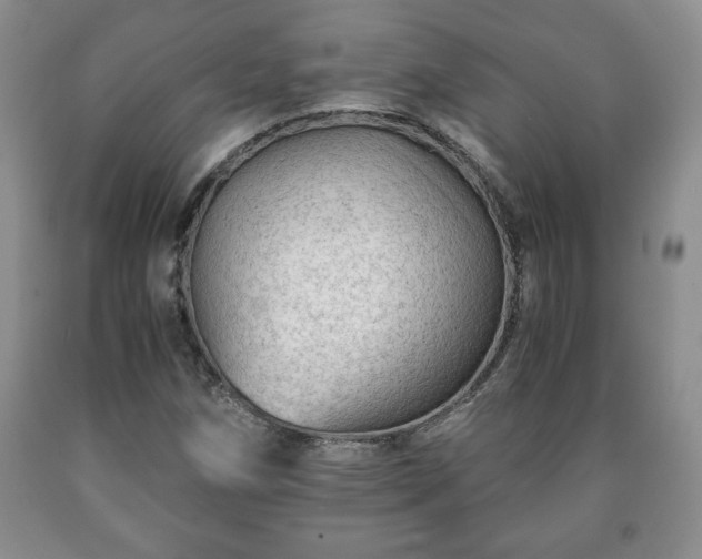X0000090601258200707241035