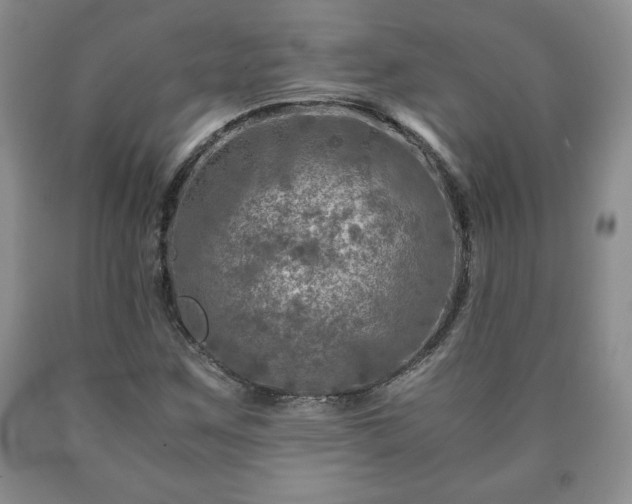 X0000090601259200707241035