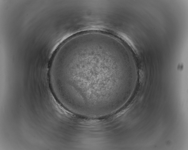 X0000090601260200707241035