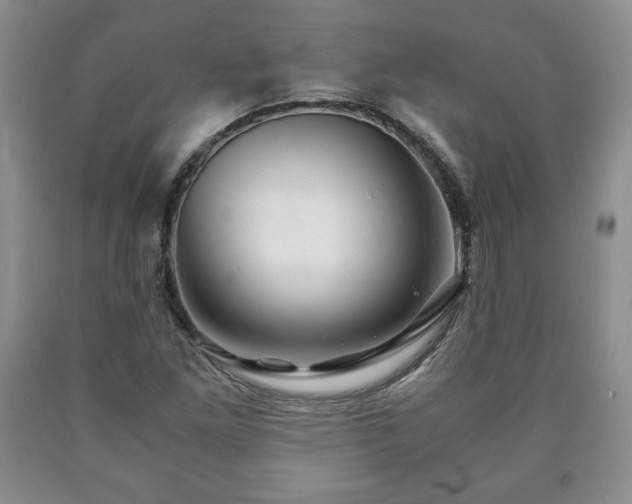 X0000090601261200707241035